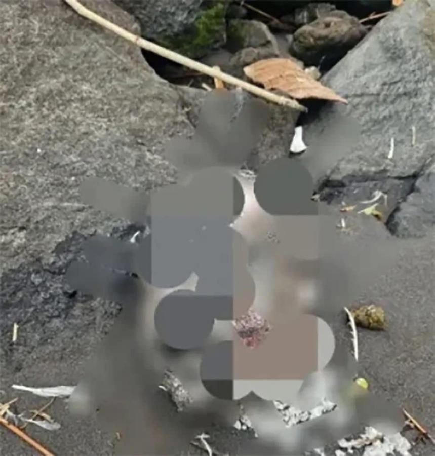 Click image for larger version

Name:	649176425_959428123415333_1322583695388126919_n.jpg
Views:	0
Size:	74.4 KB
ID:	59087