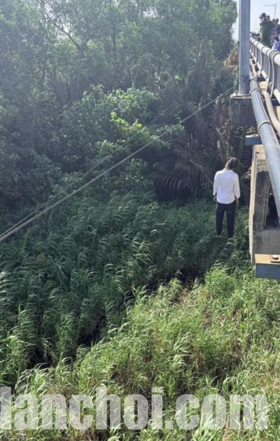 Click image for larger version

Name:	image-71-650x1024.jpg
Views:	30
Size:	106.8 KB
ID:	59145