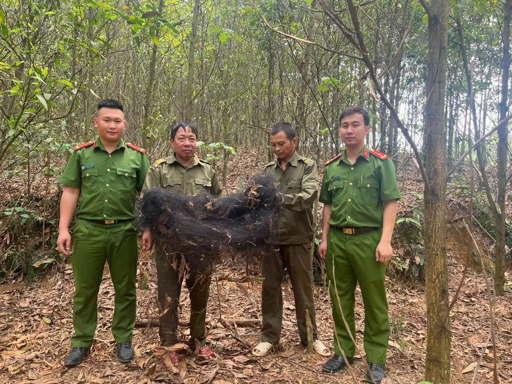 Click image for larger version

Name:	cong-an-xa-1776310156444.webp
Views:	0
Size:	255.0 KB
ID:	62642