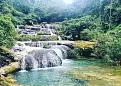 punhu.webp