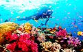 tour-lan-ngam-san-ho-phu-quoc-gia-re.jpg