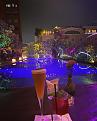 rooty-bar-2.jpg