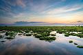 congluan-cdn.congluan.vn-files-content-2025-02-22-_reu-xanh-4-16756539258931973800284-0641.jpg