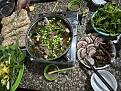 thit-cay-viet-tri.jpg