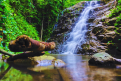 suoi-thanh-long-3.png