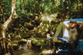 camp-suoi-thanh-long.png
