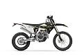 triumph-tf-250-450-e-6.jpg