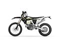 triumph-tf-250-450-e-9.jpg