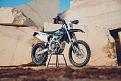 triumph-tf-250-450-e-3.jpg