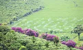 b10-6298-5261.jpg.webp