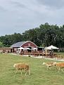 Riverside-Glamping-7.jpg