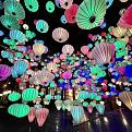 Vườn Ánh Sáng Lumiere Đà Lạt.jpg