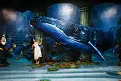 aqua.webp