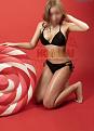 hoa-mai-ktv-3.jpg