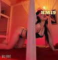 hoa-mai-ktv-19.jpg