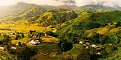 Lao Chải.webp
