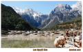 ngoc-long-tuyet-son-3.png