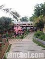 bo-tui-ngay-top-quan-an-toi-buon-ma-thuot-sieu-ngon-5-1652179274.jpg