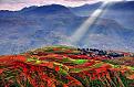 dongchuan-red-land.jpg