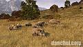 way-of-the-hunter-wild-europe-1.jpg