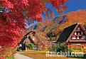chiem-nguong-ve-dep-quyen-ru-cua-lang-co-shirakawago-khi-vao-thu-2.jpg