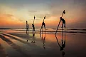 thinhlong.webp