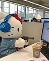 kitty4.webp