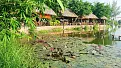 khu-du-lich-sinh-thai-ho-nam-2.webp