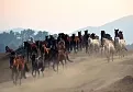 traingua.webp